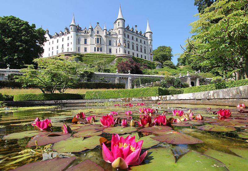 Danrobin Castle