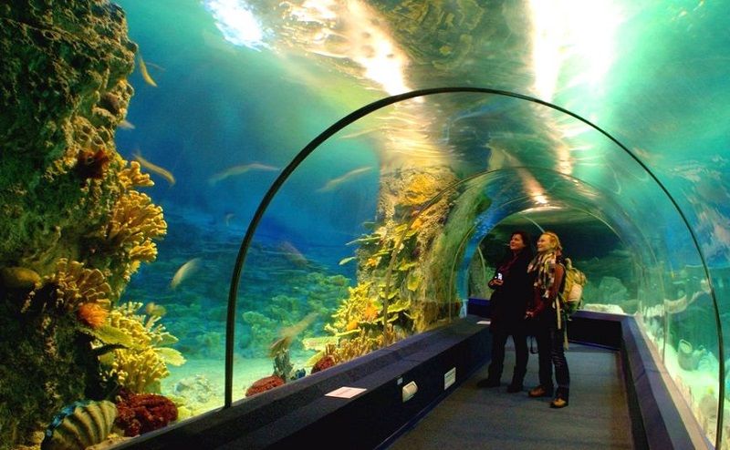 Acvariul Oceanografic din Soci