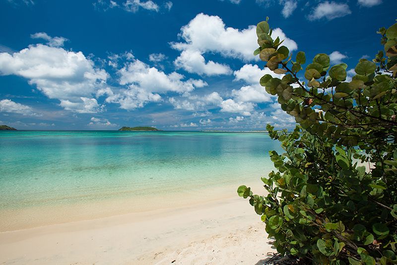 Beach coastline of the island
