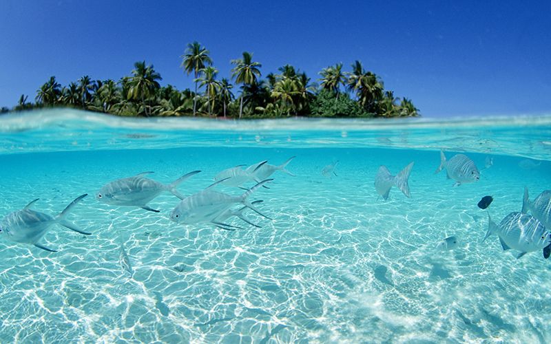 Linia de coastă din Punta Cana
