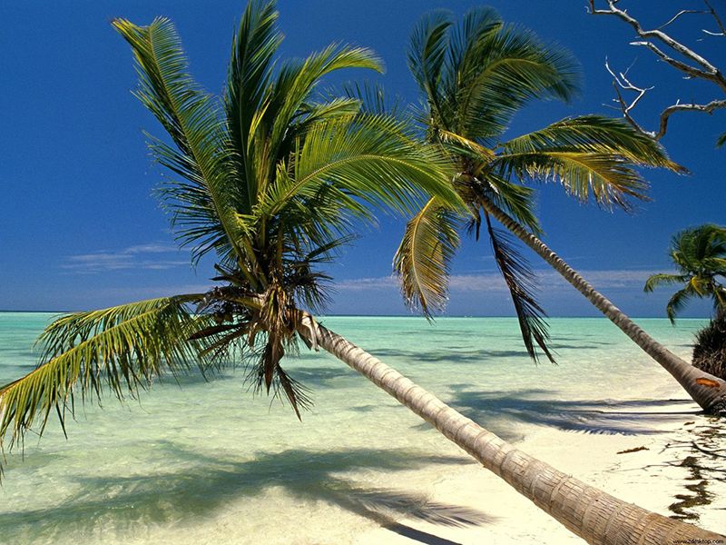 Linia de coastă din Punta Cana
