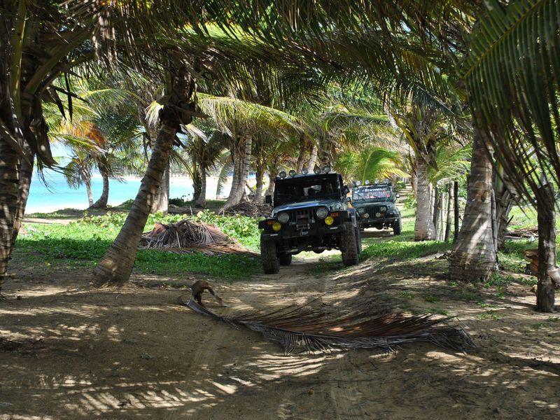 Safari cu jeep-ul