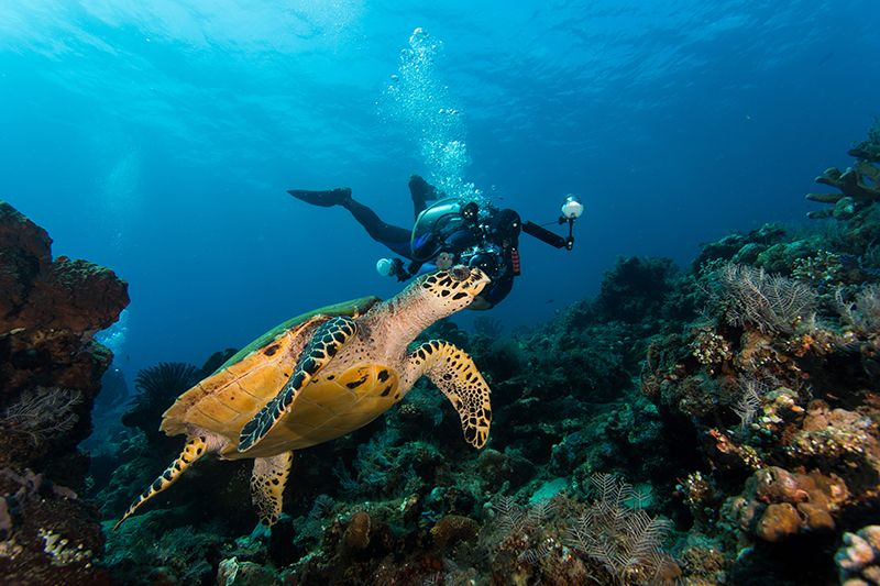 Tunku Abdul Rahman Marine Park