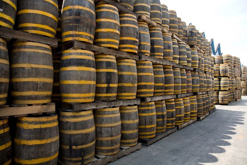 Brugal distillery