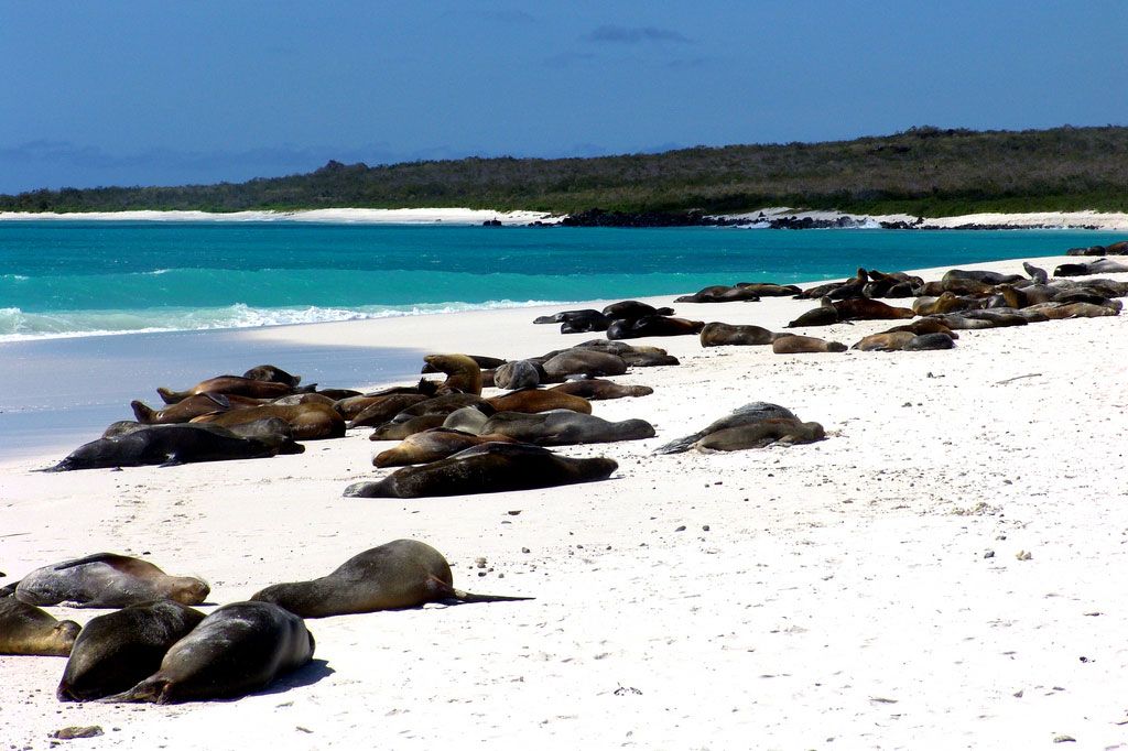 Galápagos Islands