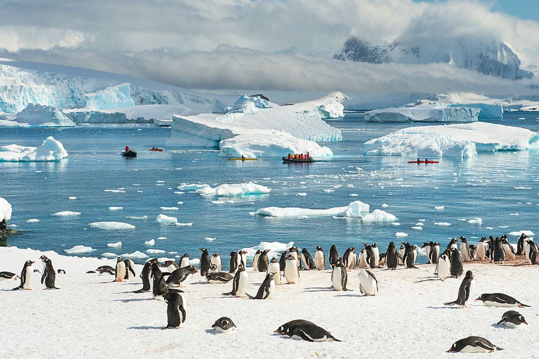 Antarctica