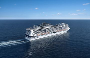 MSC17011319