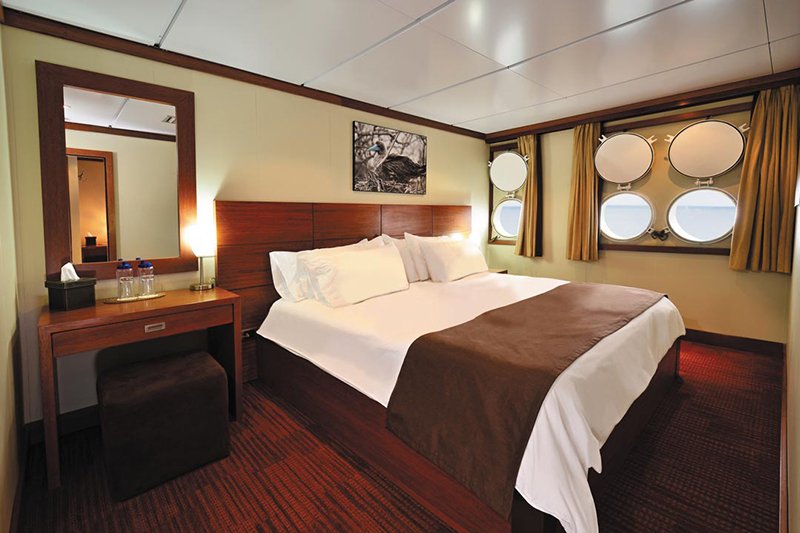 Deluxe Oceanview Stateroom with Window