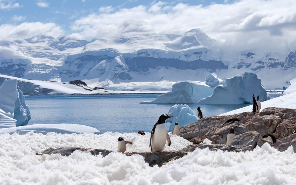 Cruises to Antarctica